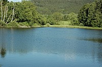 penzion0019